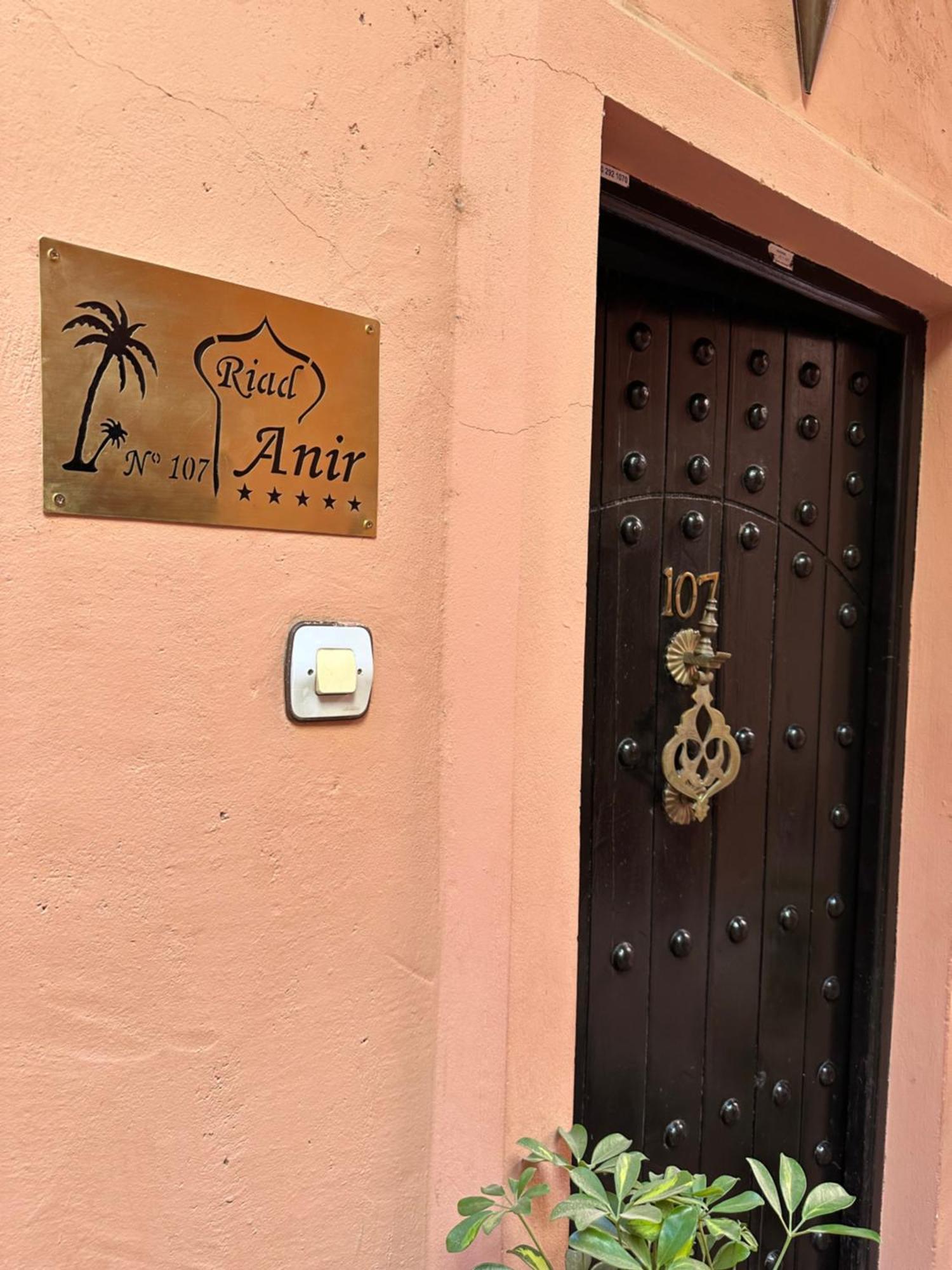 Riad Anir مراكش المظهر الخارجي الصورة